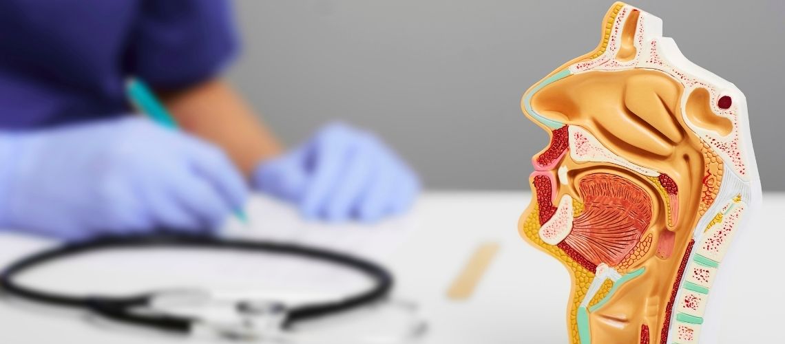 Kulak Burun Bogaz KBB Nedir Hangi Hastaliklari Kapsar